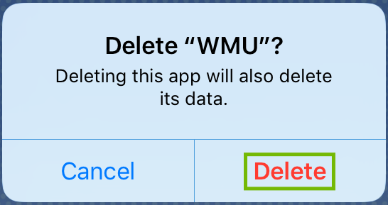 Delete WMU dialog with Delete highlighted.