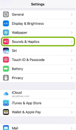 Sounds & Haptics highlighted in iOS settings.
