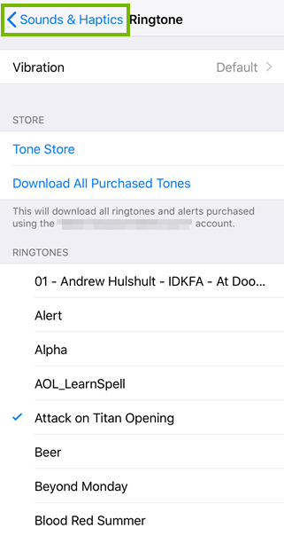 Selecting a ringtone highlighting the sounds and haptics button.