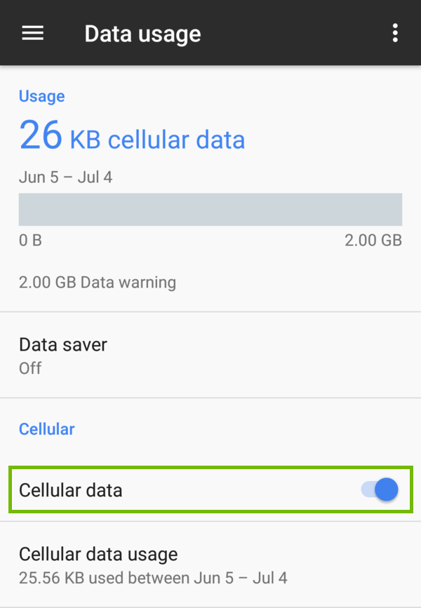 Data usage with Cellular data turned on.