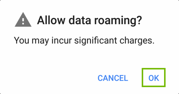 Allow data roaming dialog with OK highlighted.