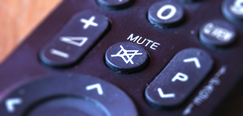 Image of a television remote control's mute and volume buttons
