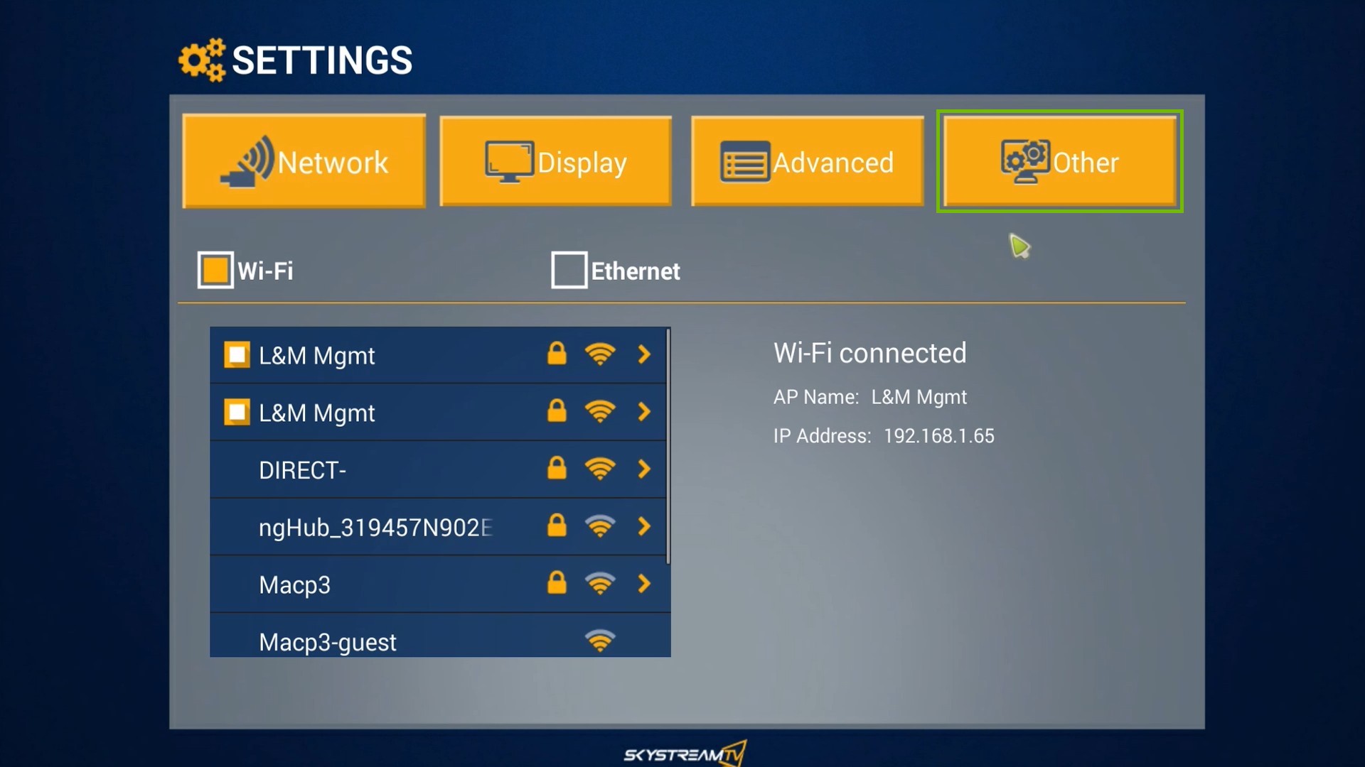 SkyStream One Settings menu, highlighting the Other option.