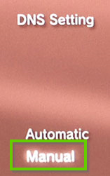 PS3 DNS setting with manual selected