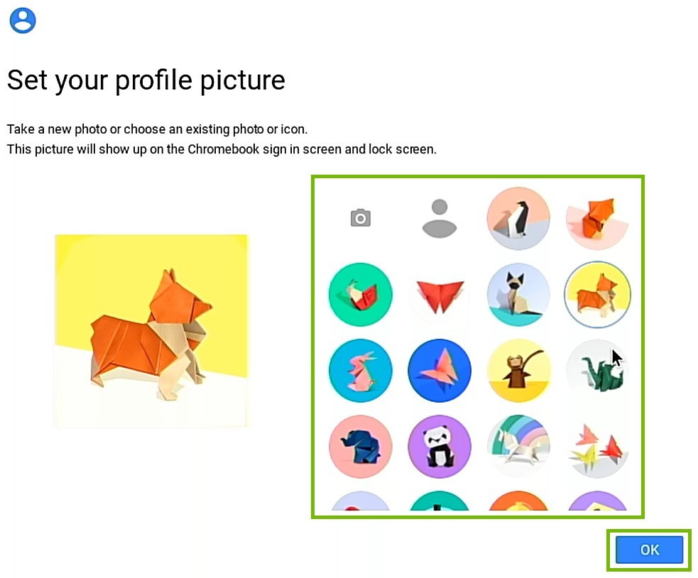 profile picture selection screen with ok button highlighted