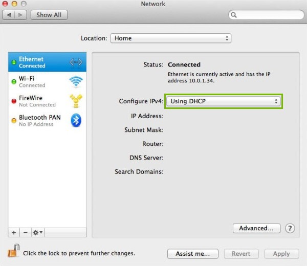 Using DHCP is highlighted