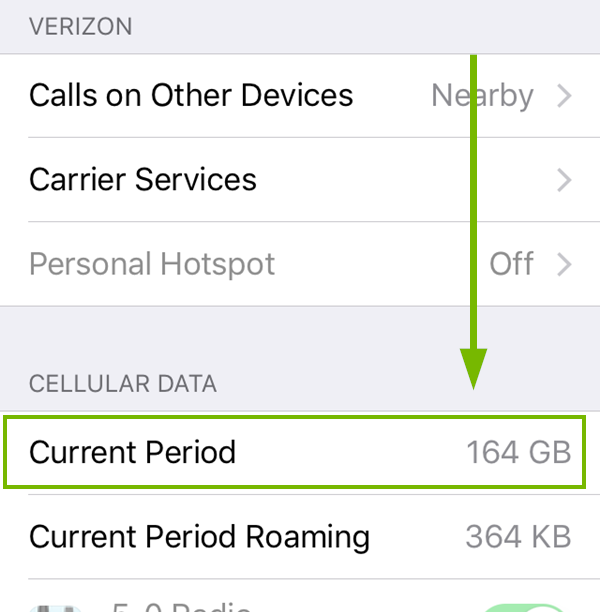 Cellular menu with Data usage highlighted. Screenshot