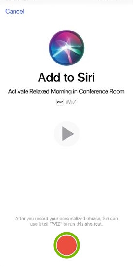 Record option highlighted in WiZ app.