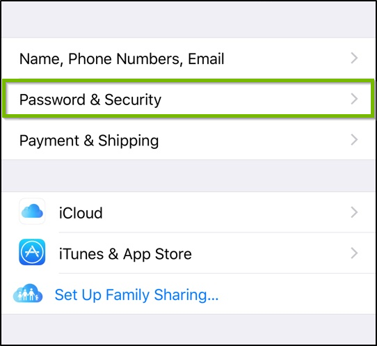 iCloud settings. Password and security highlighted.