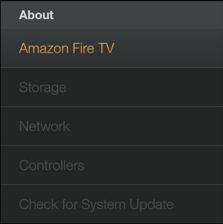 About menu with Check for System Update selected. Screenshot.