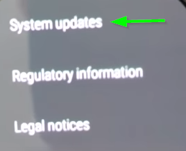 The system updates button on the polar m600