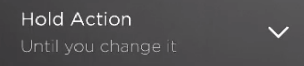 Hold Action