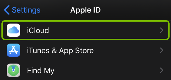 iCloud option highlighted for selected Apple ID in iOS settings.