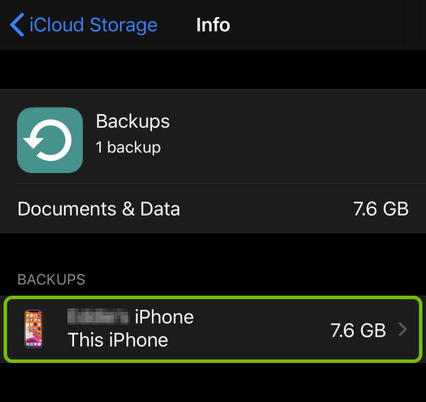 This iPhone highlighted in backup data management in iCloud settings on iOS.