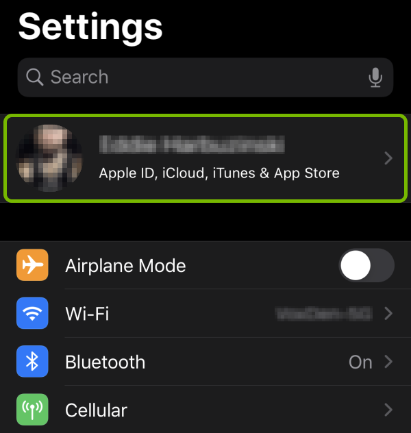 Apple ID highlighted in iOS settings.