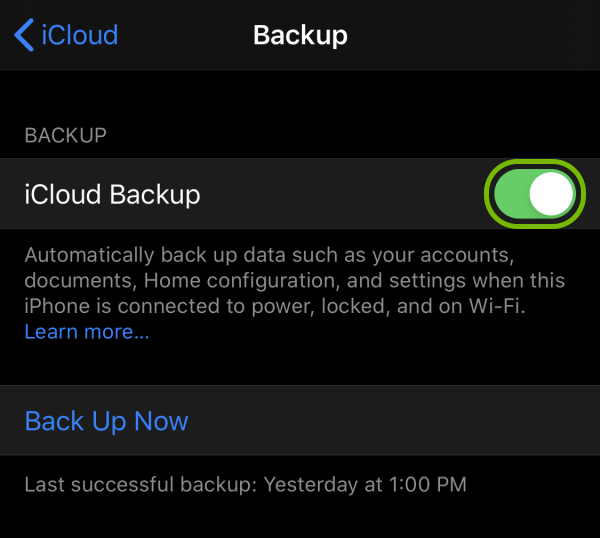 Toggle switch highlighted next to iCloud Backup feature in iOS settings.