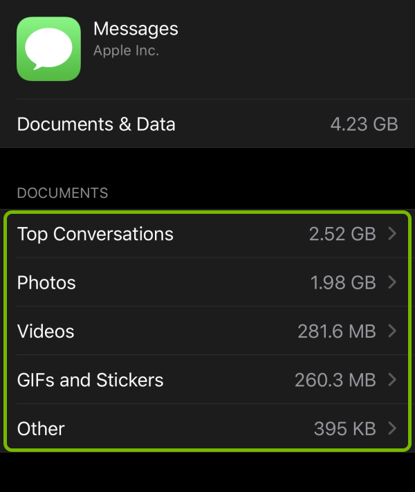Types of files highlighted for selected app in storage options on iOS.