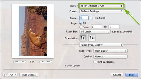 Screenshot of a common macOS print window highlighting the printer selection dropdown box.