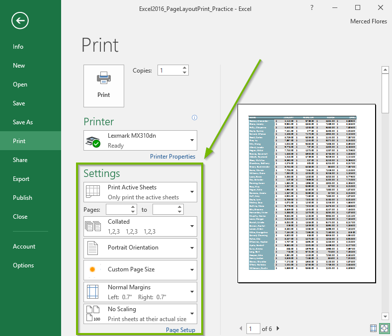 Screenshot of the Microsoft Excel print window highlighting the print settings area.