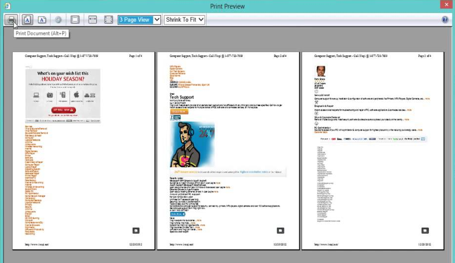 Screenshot of a common print preview screen depicting what will be printed.