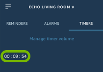 Listed timer highlighted in Alexa app.