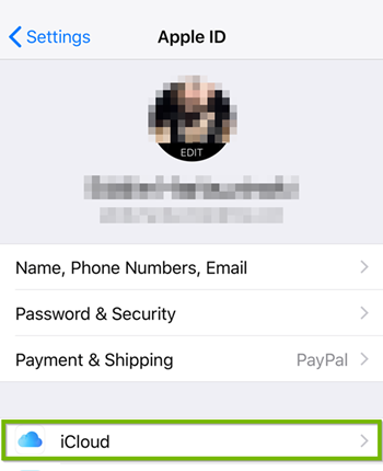 iOS apple ID page with iCloud selected