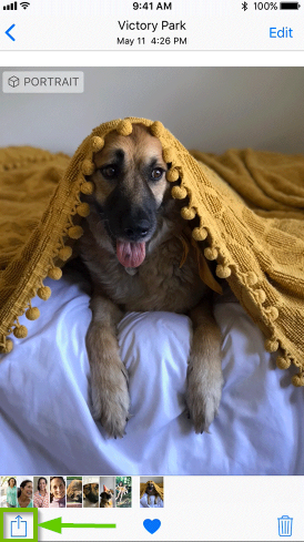 iOS device showing the Share button