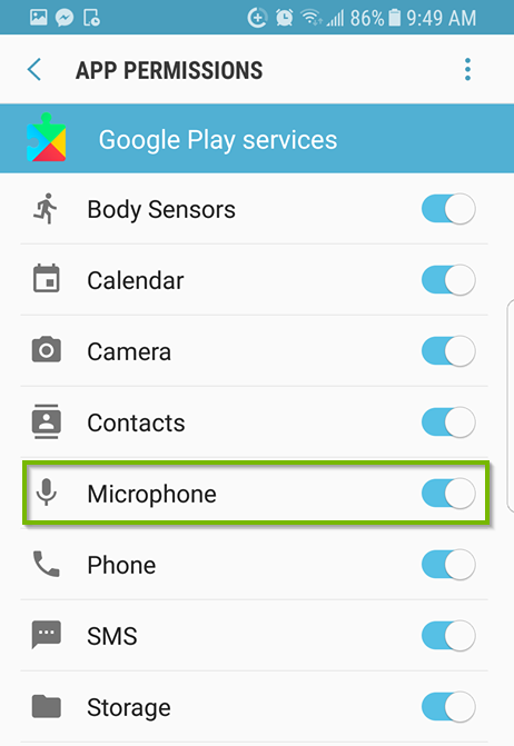 App permissions with Microphone toggled on. Screenshot.