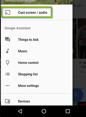 App menu with Cast screen / Audio selected. Screenshot.