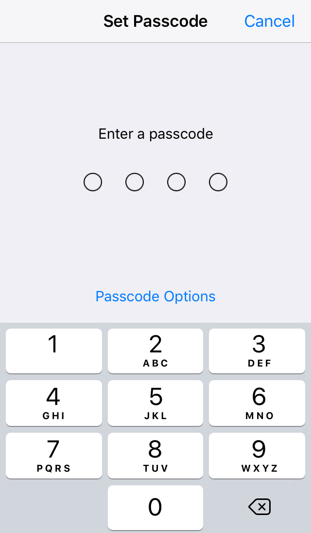 User being prompted to enter a 4 digit passcode. Screenshot.