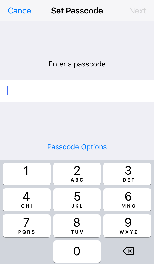 User being prompted to enter a numeric passcode. Screenshot.