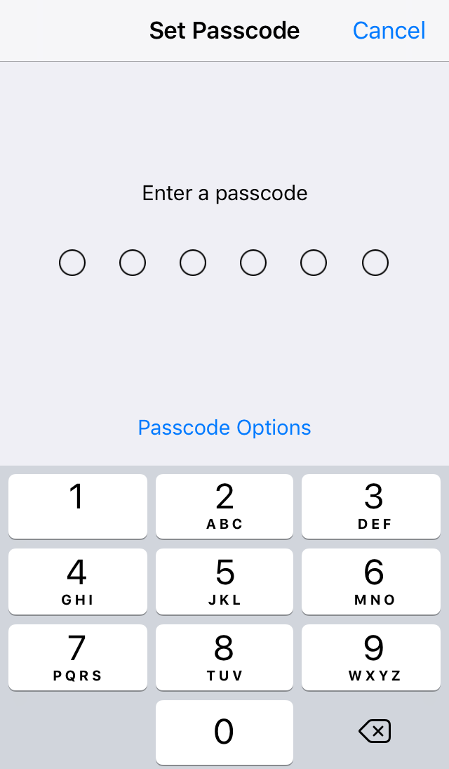 User being prompted to enter a 6 digit passcode. Screenshot.