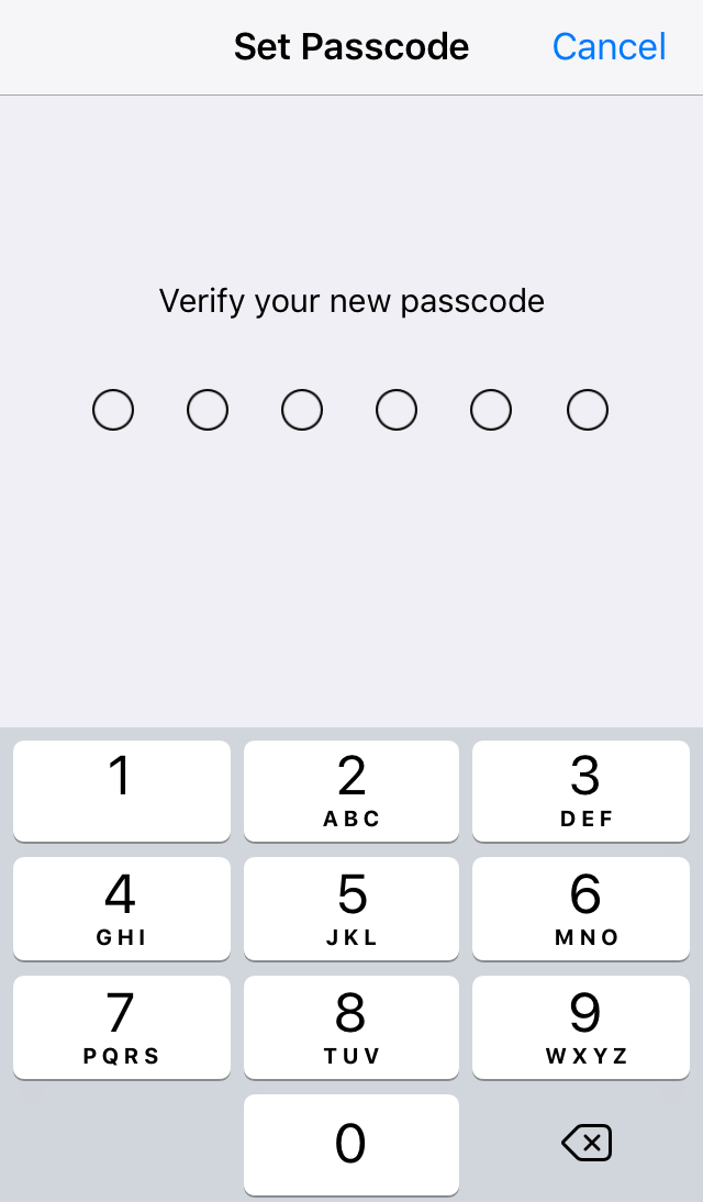 User being prompted to verify the passcode that was previously entered. Screenshot.