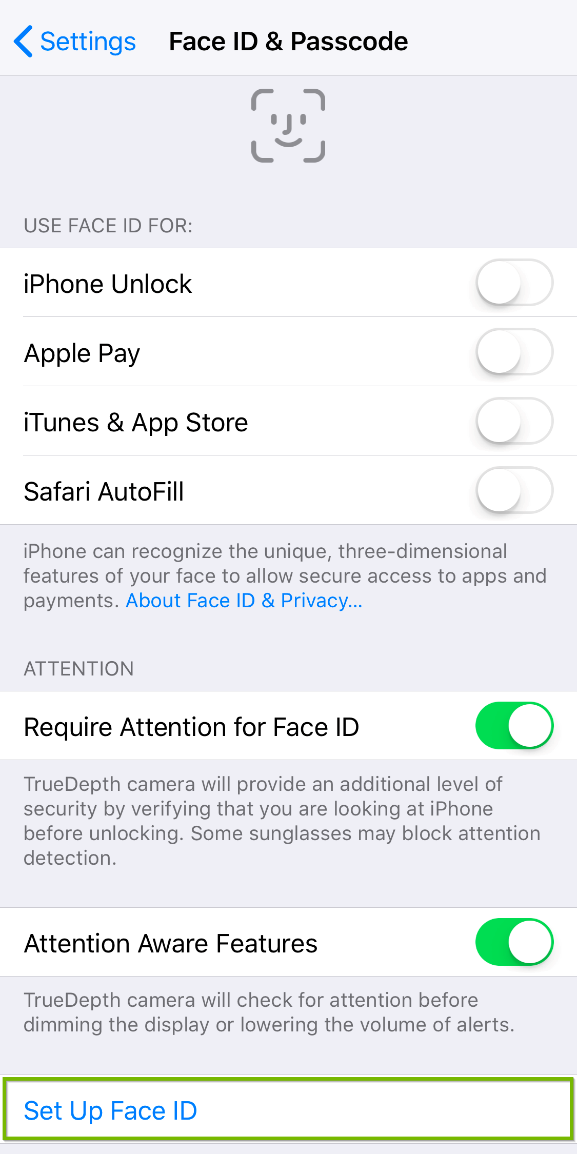 Face ID and passcode screen highlighting set up face ID.