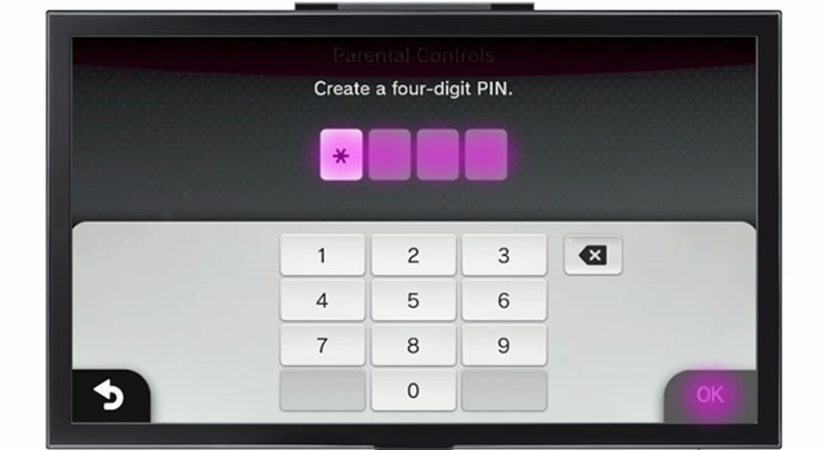 Wii U field for 4 digit pin