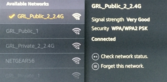 Wi-Fi network list with example selected with checkmark. Screenshot.