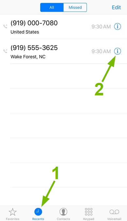 Recents and Info pointed out in iOS Phone app.