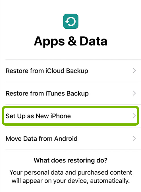 Set Up as New Device option highlighted in iOS device setup.