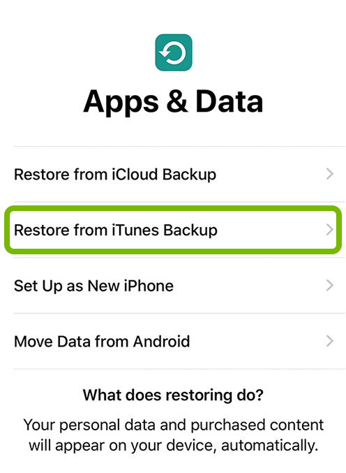 Restore from iTunes Backup option highlighted in iOS device setup.