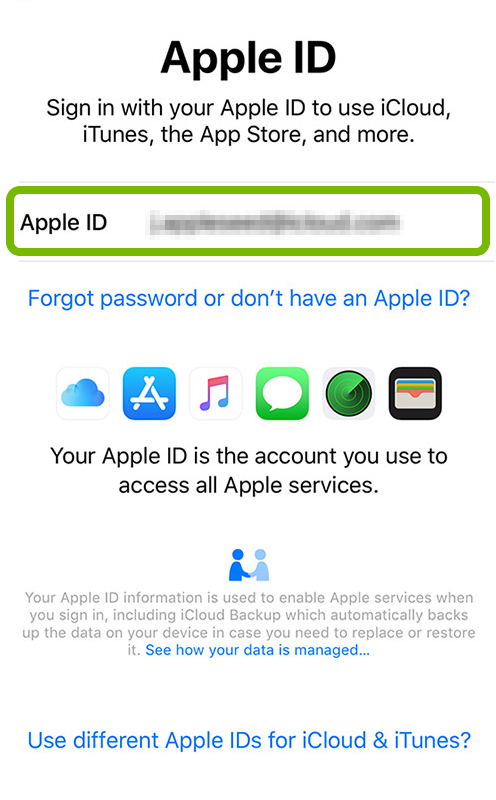 Apple ID entry field highlighted on sign in screen of iOS device setup.