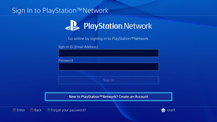 PlayStation Network sing in screen.