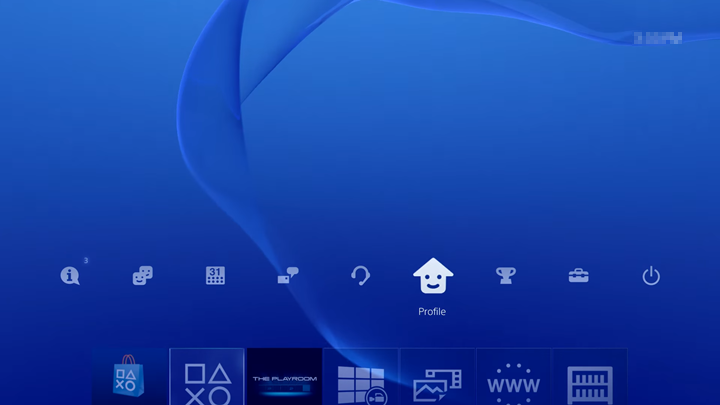 Profile option selected on main screen.