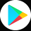Google Play Store icon