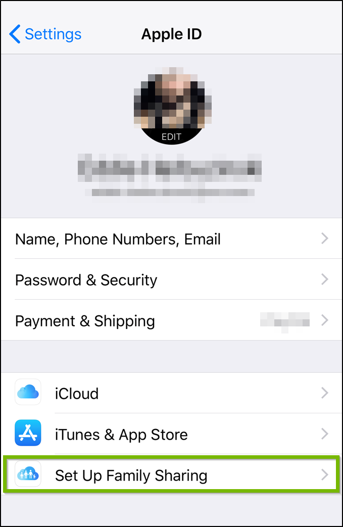 iOS Apple ID screen highlighting set up family sharing option.