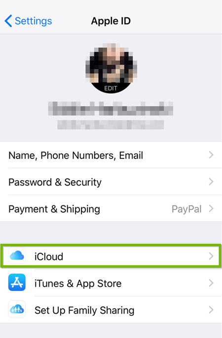 iOS showing Apple ID settings with iCloud selected