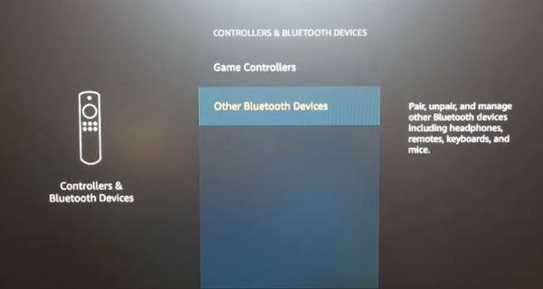 Controllers and Bluetooth Devices menu with Other Bluetooth Devices selected. Screenshot.