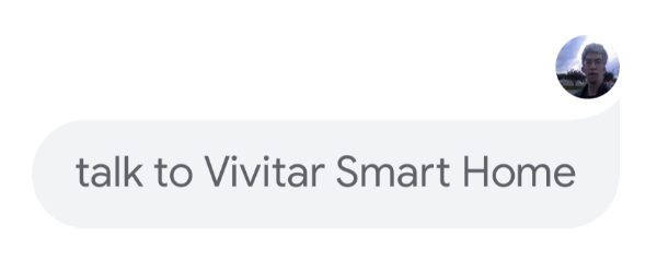Google Assistant after stating Talk to Vivitar Smart Home