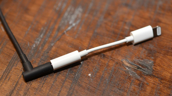 Lightning to analog adapter.