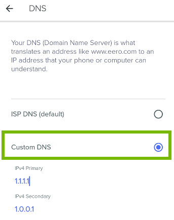 Custom DNS selection