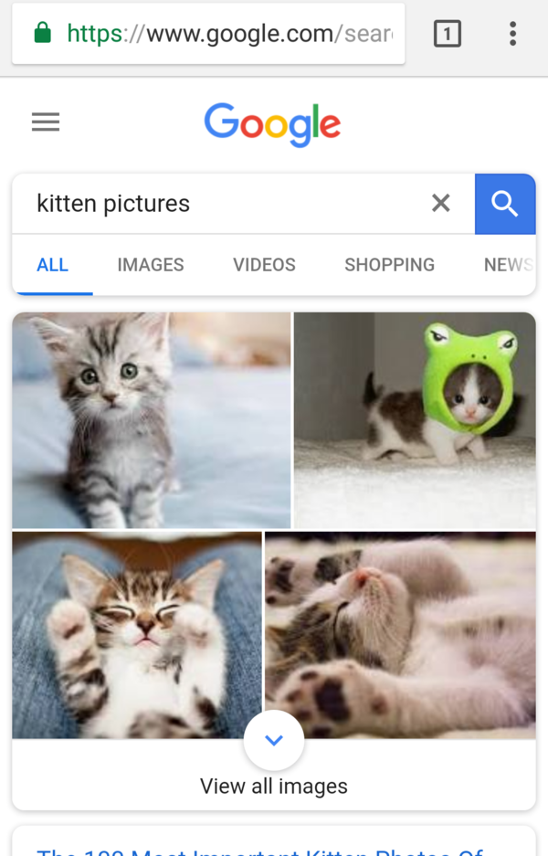 Google search results.